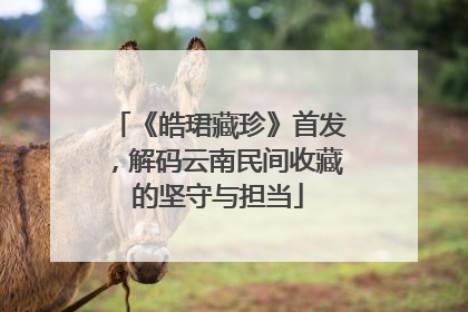 《皓珺藏珍》首发，解码云南民间收藏的坚守与担当