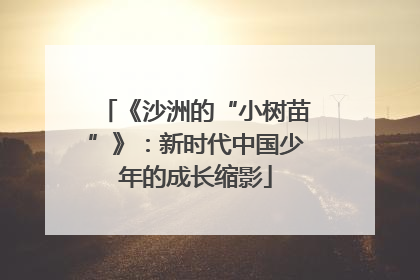 《沙洲的“小树苗”》：新时代中国少年的成长缩影