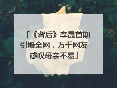 《背后》李晟首期引爆全网，万千网友感叹母亲不易