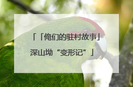 「俺们的驻村故事」深山坳“变形记”