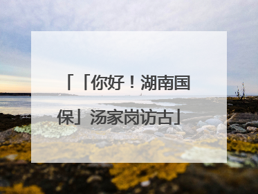 「你好！湖南国保」汤家岗访古