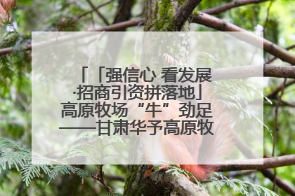 「强信心 看发展·招商引资拼落地」高原牧场“牛”劲足——甘肃华予高原牧场高标准奶牛肉牛养殖项目一线见闻