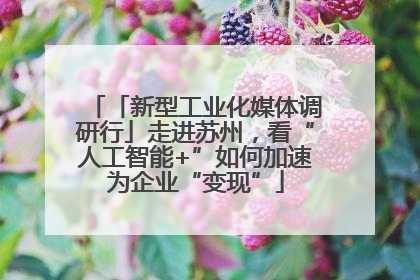 「新型工业化媒体调研行」走进苏州，看“人工智能+”如何加速为企业“变现”