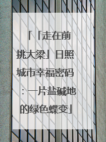 「走在前 挑大梁」日照城市幸福密码：一片盐碱地的绿色蝶变