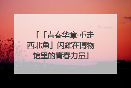「青春华章·重走西北角」闪耀在博物馆里的青春力量