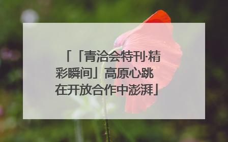 「青洽会特刊·精彩瞬间」高原心跳 在开放合作中澎湃