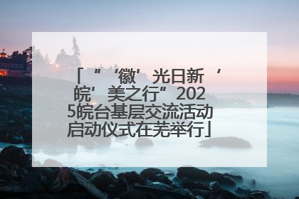 “‘徽’光日新‘皖’美之行”2025皖台基层交流活动启动仪式在芜举行