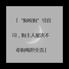 “狗咬狗”引官司，狗主人屡次不牵狗绳担全责