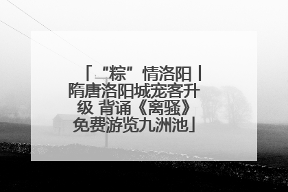“粽”情洛阳丨隋唐洛阳城宠客升级 背诵《离骚》免费游览九洲池