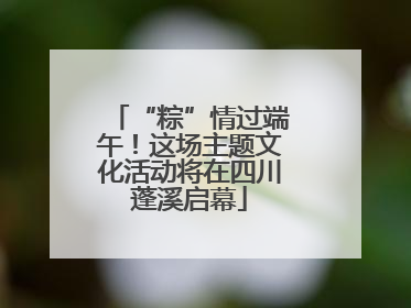 “粽”情过端午！这场主题文化活动将在四川蓬溪启幕