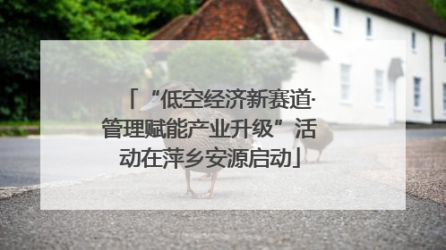 “低空经济新赛道·管理赋能产业升级”活动在萍乡安源启动