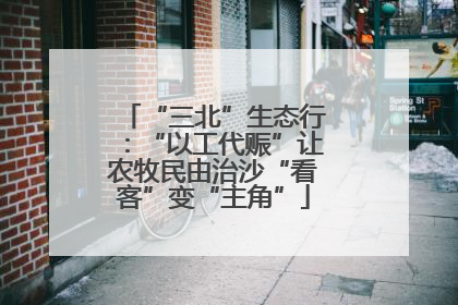 “三北”生态行：“以工代赈”让农牧民由治沙“看客”变“主角”