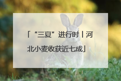 “三夏”进行时丨河北小麦收获近七成