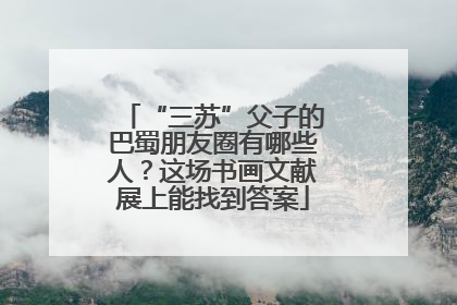 “三苏”父子的巴蜀朋友圈有哪些人？这场书画文献展上能找到答案