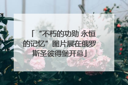 “不朽的功勋 永恒的记忆”图片展在俄罗斯圣彼得堡开幕