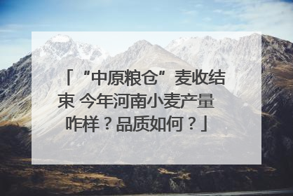“中原粮仓”麦收结束 今年河南小麦产量咋样？品质如何？