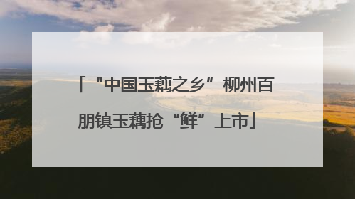 “中国玉藕之乡”柳州百朋镇玉藕抢“鲜”上市