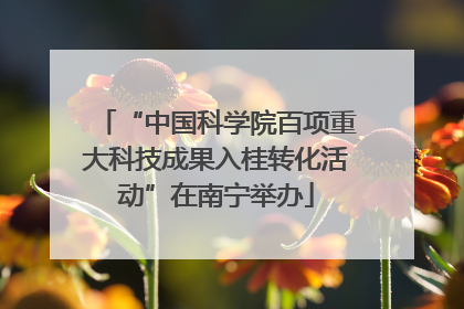 “中国科学院百项重大科技成果入桂转化活动”在南宁举办