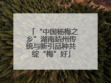 “中国杨梅之乡”湖南靖州传统与新引品种共绽“梅”好