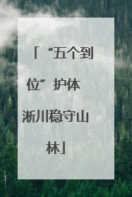 “五个到位”护体 淅川稳守山林