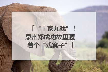 “十家九戏”！泉州郑成功故里藏着个“戏窝子”
