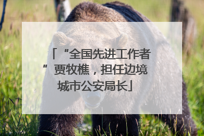 “全国先进工作者”贾牧樵，担任边境城市公安局长
