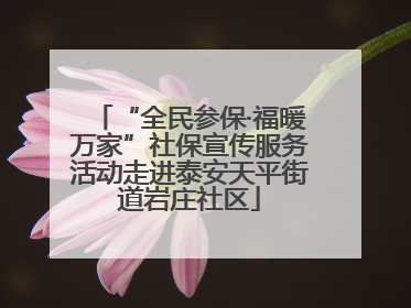 “全民参保·福暖万家”社保宣传服务活动走进泰安天平街道岩庄社区
