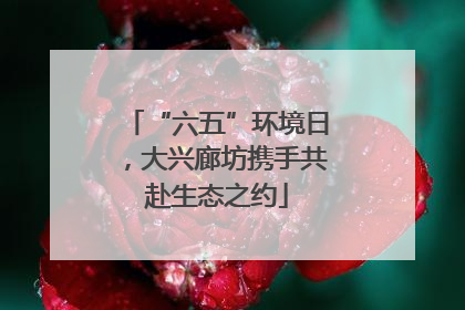 “六五”环境日，大兴廊坊携手共赴生态之约