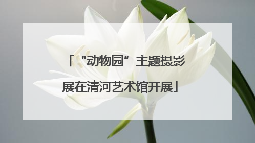 “动物园”主题摄影展在清河艺术馆开展