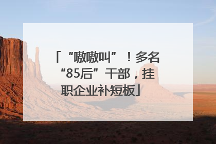 “嗷嗷叫”！多名“85后”干部，挂职企业补短板