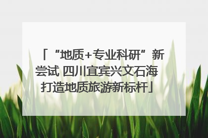 “地质+专业科研”新尝试 四川宜宾兴文石海打造地质旅游新标杆