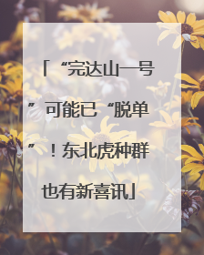 “完达山一号”可能已“脱单”！东北虎种群也有新喜讯
