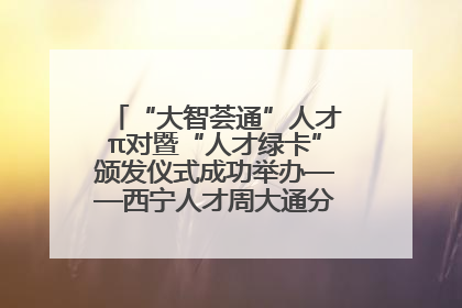 “大智荟通”人才π对暨“人才绿卡”颁发仪式成功举办——西宁人才周大通分会场亮点纷呈