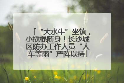 “大水牛”坐镇，小撬棍随身！长沙城区防办工作人员“人车等雨”严阵以待