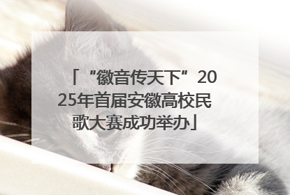 “徽音传天下”2025年首届安徽高校民歌大赛成功举办