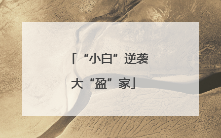 “小白”逆袭大“盈”家