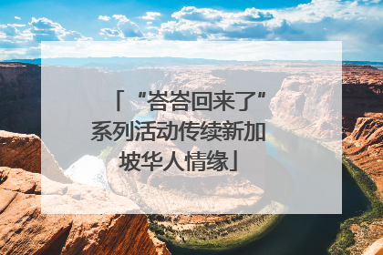 “峇峇回来了”系列活动传续新加坡华人情缘