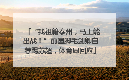 “我祖籍泰州，马上能出战！”前国脚毛剑卿自荐踢苏超，体育局回应