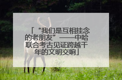 “我们是互相挂念的老朋友”——中哈联合考古见证跨越千年的文明交响