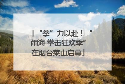 “拳”力以赴！“闹海·拳击狂欢季”在烟台莱山启幕