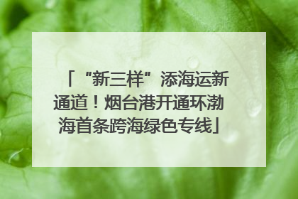 “新三样”添海运新通道！烟台港开通环渤海首条跨海绿色专线