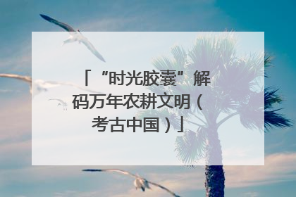 “时光胶囊”解码万年农耕文明（考古中国）
