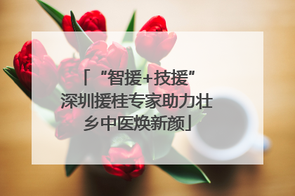 “智援+技援” 深圳援桂专家助力壮乡中医焕新颜
