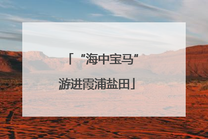 “海中宝马”游进霞浦盐田
