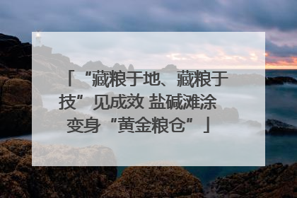 “藏粮于地、藏粮于技”见成效 盐碱滩涂变身“黄金粮仓”