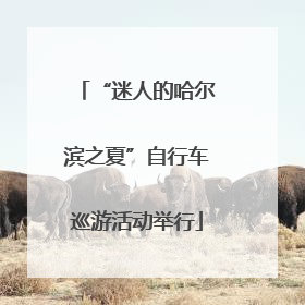“迷人的哈尔滨之夏”自行车巡游活动举行