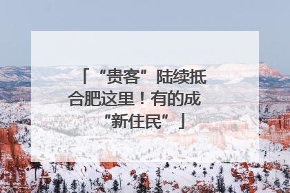 “贵客”陆续抵合肥这里！有的成“新住民”