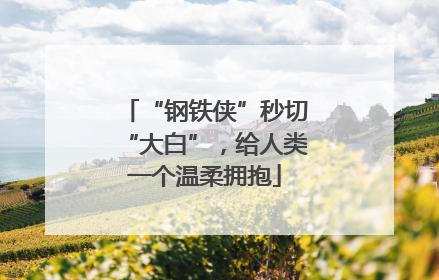 “钢铁侠”秒切“大白”，给人类一个温柔拥抱