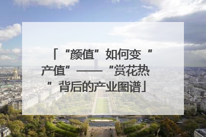 “颜值”如何变“产值”——“赏花热”背后的产业图谱