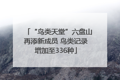 “鸟类天堂”六盘山再添新成员 鸟类记录增加至336种